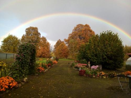 Фотографии невероятно красивой дачи от нашей подписчицы. 04