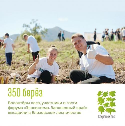 150 млн деревьев высадили участники мы Сохраним лес за 3 года по всей России. 01