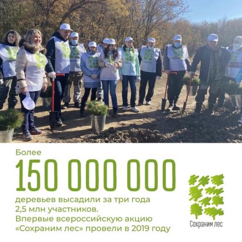 150 млн деревьев высадили участники мы Сохраним лес за 3 года по всей России. 04