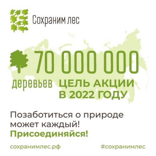 150 млн деревьев высадили участники мы Сохраним лес за 3 года по всей России. 05