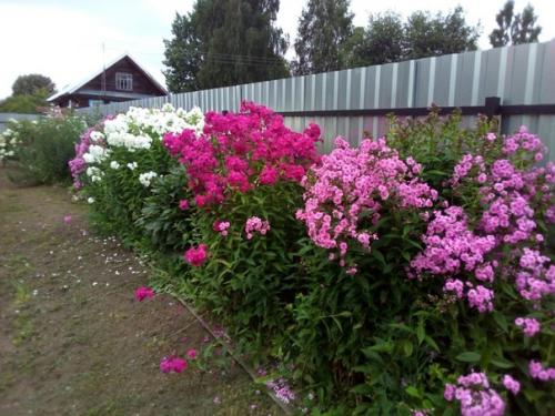 Фотографии невероятно красивой дачи от нашей подписчицы. 05