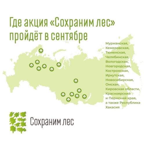 150 млн деревьев высадили участники мы Сохраним лес за 3 года по всей России. 03