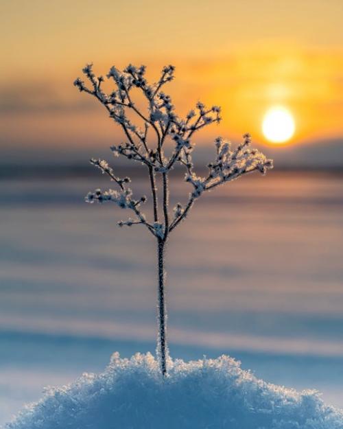 Эстетика зимних закатов от финского фотографа Taikalehto. 08