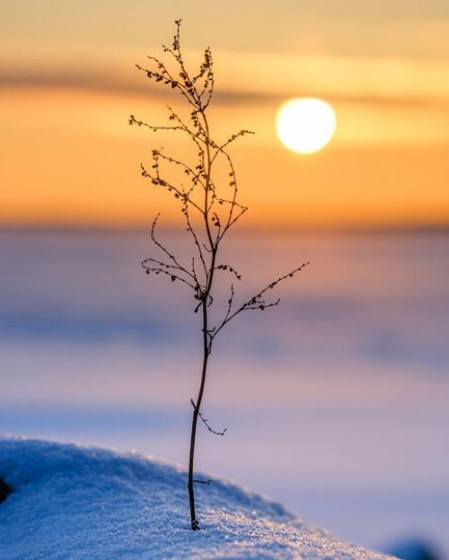 Эстетика зимних закатов от финского фотографа Taikalehto. 06