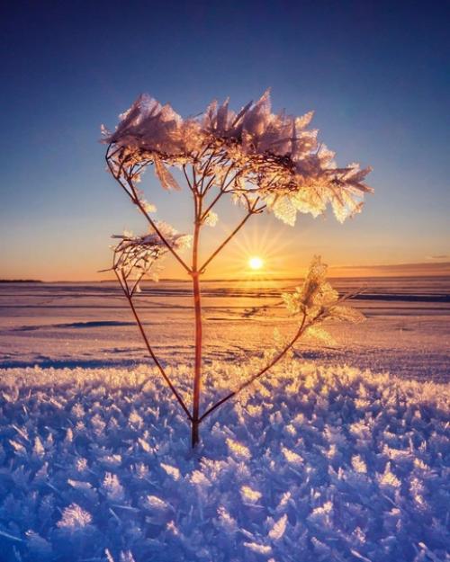 Эстетика зимних закатов от финского фотографа Taikalehto. 01