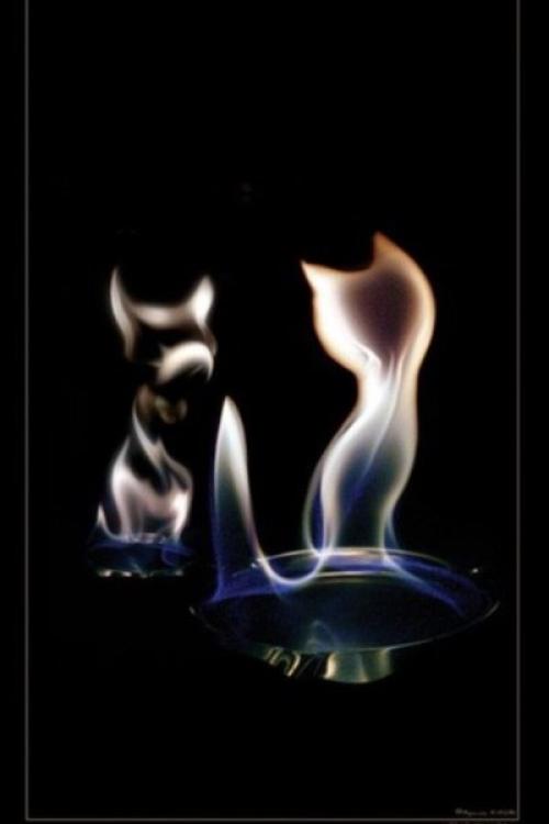 Живой Огонь в фотографиях Адильгерея кусова. 05