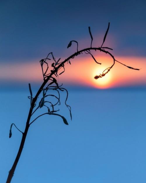 Эстетика зимних закатов от финского фотографа Taikalehto. 02