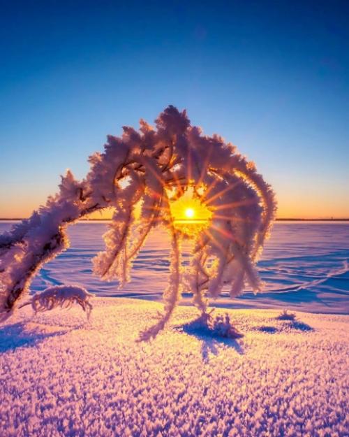 Эстетика зимних закатов от финского фотографа Taikalehto. 03