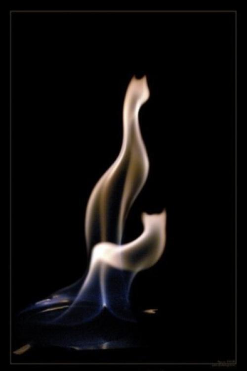 Живой Огонь в фотографиях Адильгерея кусова. 03