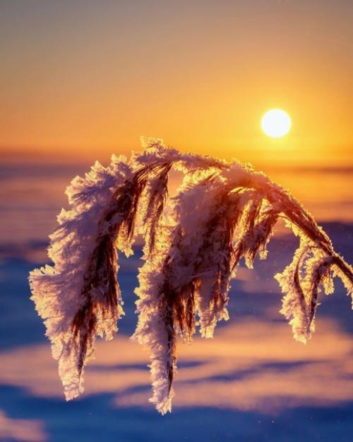 Эстетика зимних закатов от финского фотографа Taikalehto. 05