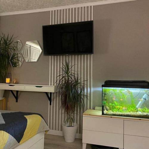 Обожаю, когда в интерьер добавляют акценты. 02