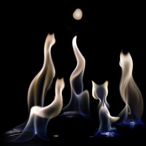 Живой Огонь в фотографиях Адильгерея кусова. 04