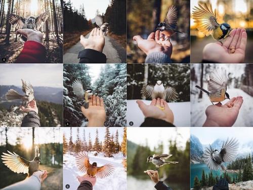 Забавный аккаунт в инсте демонстрирует одинаковость и попсовость фотографий инстаграмных Travel - блогеров. 07