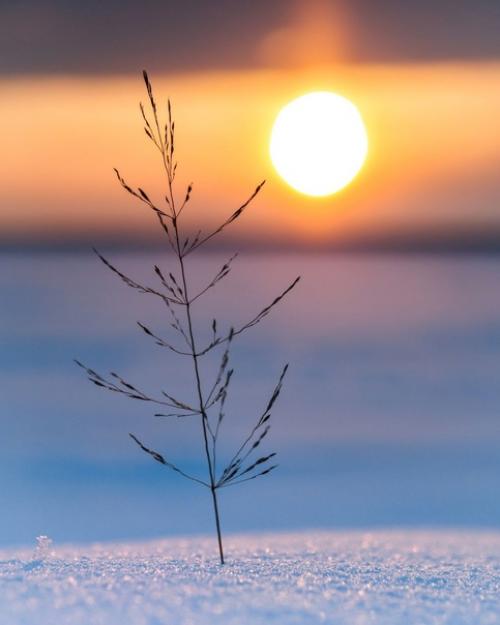 Эстетика зимних закатов от финского фотографа Taikalehto. 07