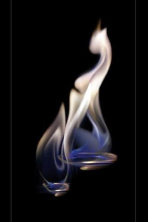 Живой Огонь в фотографиях Адильгерея кусова. 02