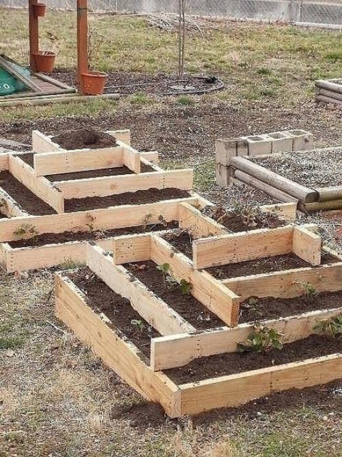 Выращивание оригинально клубнику. 04