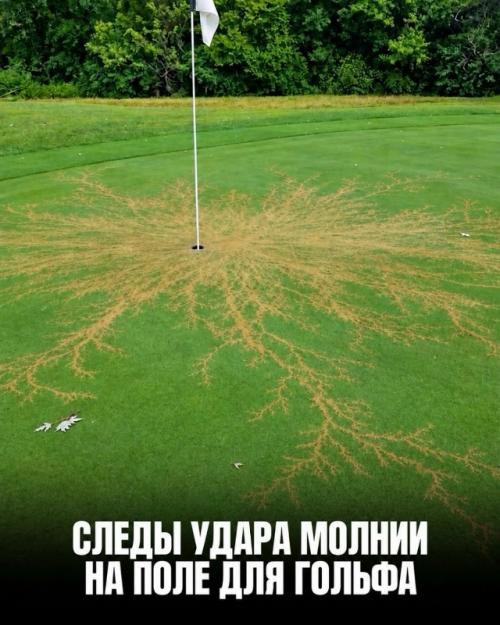 Эти невероятные вещи заставляют усомниться в реальности. 02