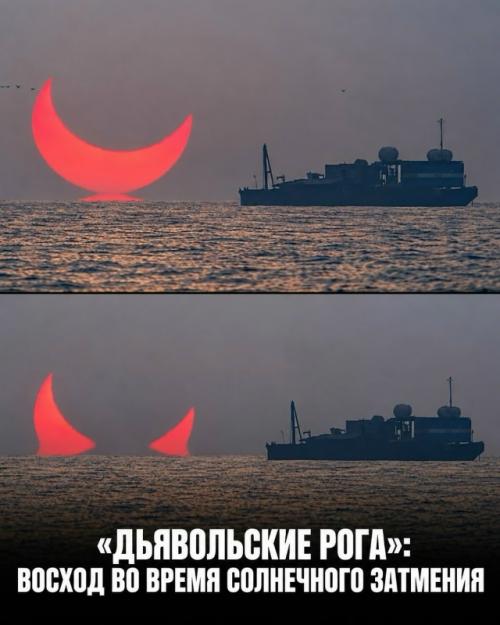 Эти невероятные вещи заставляют усомниться в реальности. 04