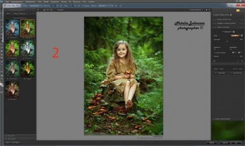 Художественная обработка фотографии от Натальи законовой. 01