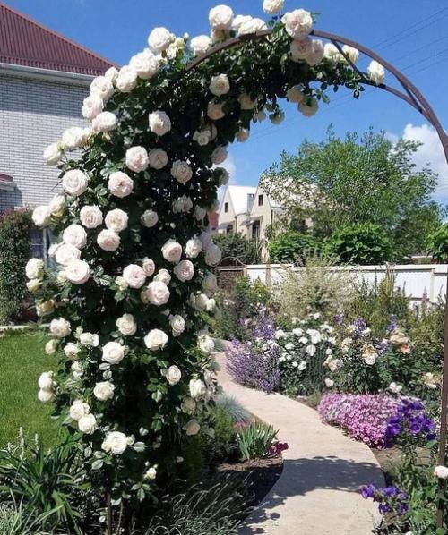 Потрясающее украшение участка - это арка с цветами. 03