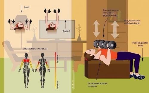 Мы тренируем все группы мышц в домашних условиях. 05