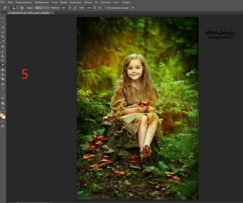Художественная обработка фотографии от Натальи законовой. 04