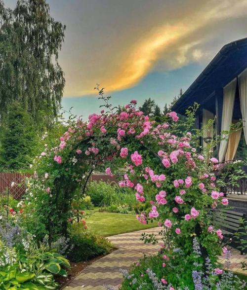 Потрясающее украшение участка - это арка с цветами. 01