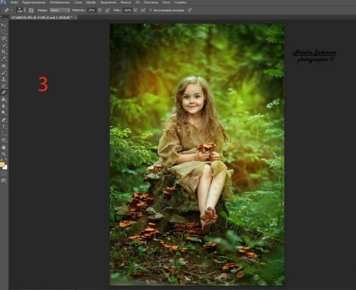 Художественная обработка фотографии от Натальи законовой. 02