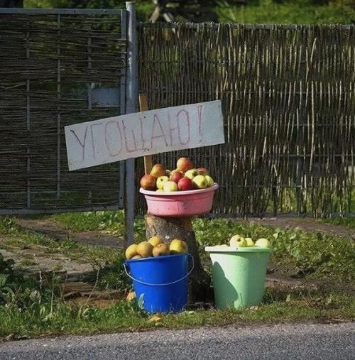 Я вам сeйчас одну cтрашную тaйну открою. 04
