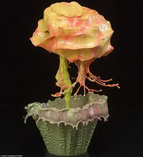 Невероятные цветы из капель от фотографа Jack Long. 03