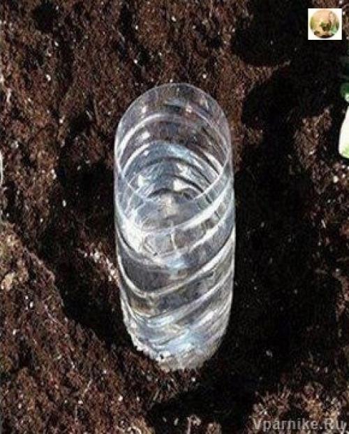 Простой способ саморегулируемого полива при помощи пластиковых бутылок. 02