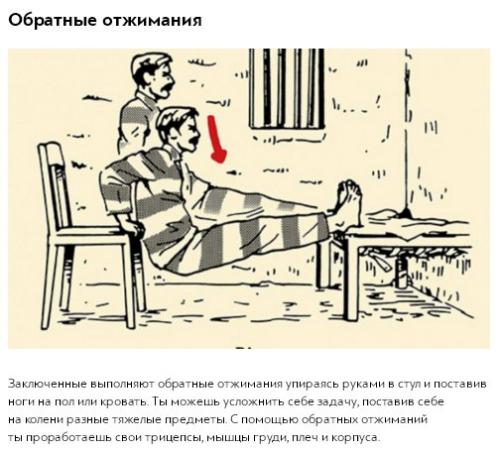 Как быстро и эффективно накачать мышцы, не выходя из дома. 01