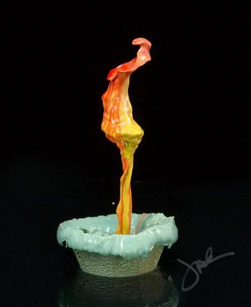 Невероятные цветы из капель от фотографа Jack Long. 07