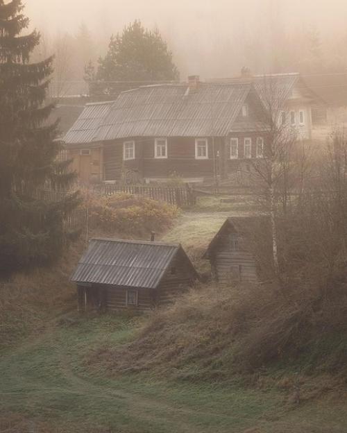 Туманный ноябрь в деревне в объективе фотографа андрея Базанова. 02