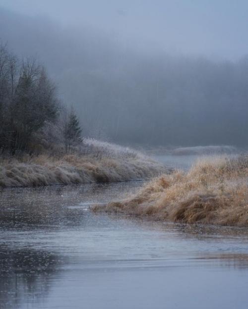 Туманный ноябрь в деревне в объективе фотографа андрея Базанова. 04