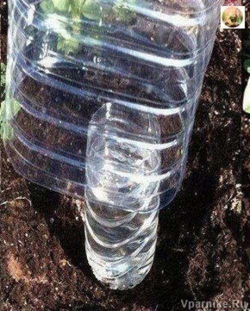 Простой способ саморегулируемого полива при помощи пластиковых бутылок. 03