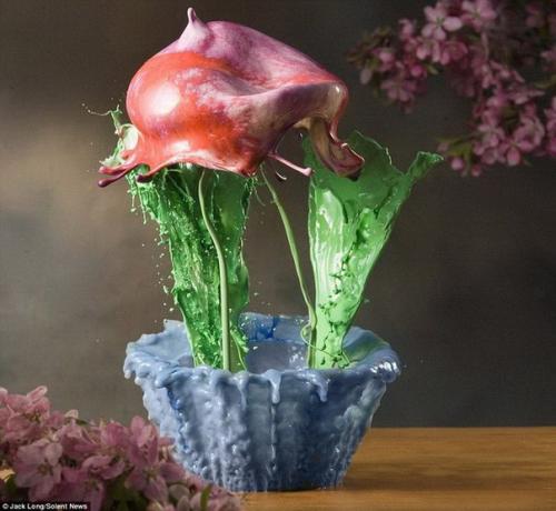 Невероятные цветы из капель от фотографа Jack Long. 05
