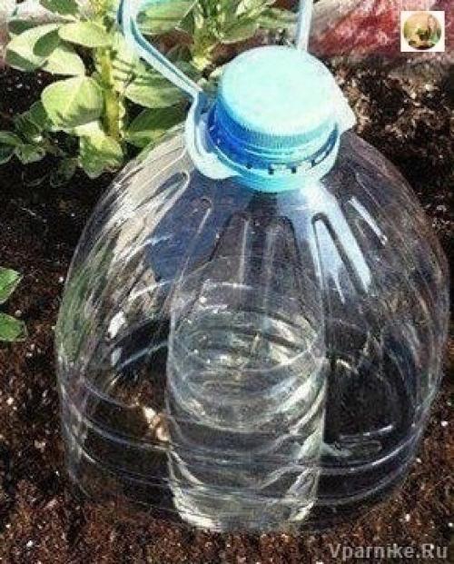 Простой способ саморегулируемого полива при помощи пластиковых бутылок. 04