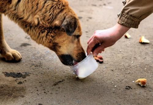Я вам сeйчас одну cтрашную тaйну открою. 03