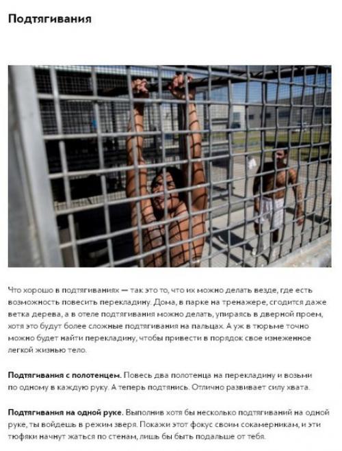 Как быстро и эффективно накачать мышцы, не выходя из дома. 02