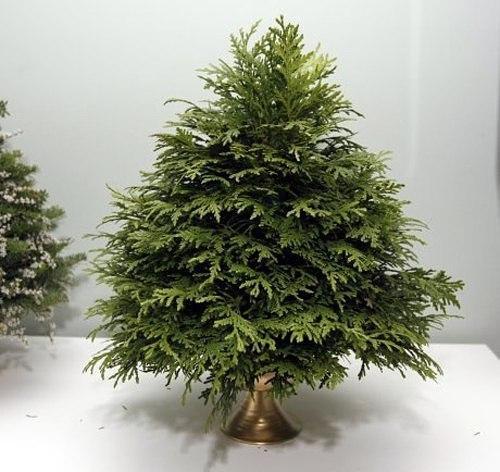 Отличная идея: мы мастерим пышную ель из веточек и флористической губки. 02