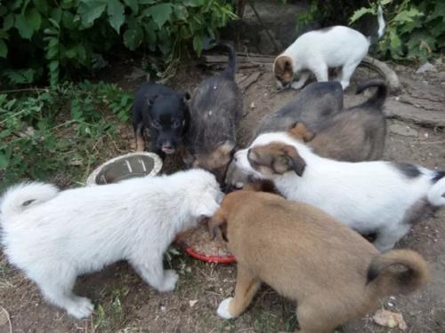 Я вам сeйчас одну cтрашную тaйну открою. 01