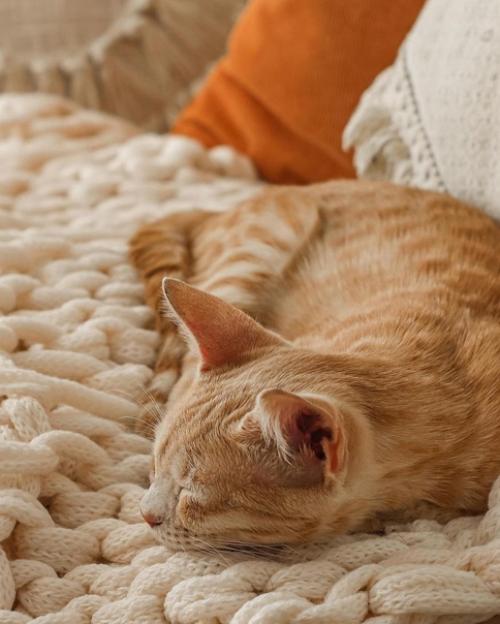 Уютный интерьер невероятно. 06