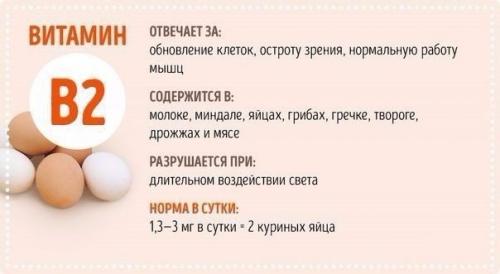 Все, что вы хотели знать о витаминах. 01