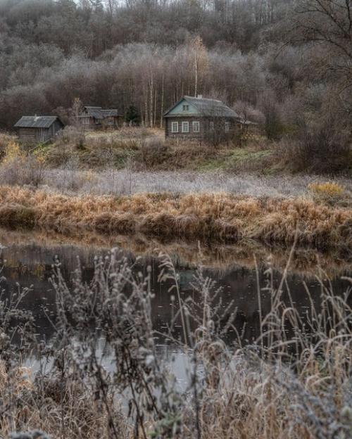 Туманный ноябрь в деревне в объективе фотографа андрея Базанова. 05