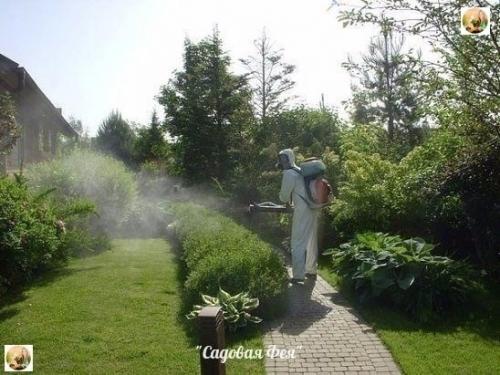 Мы применяем просроченные лекарства. 

