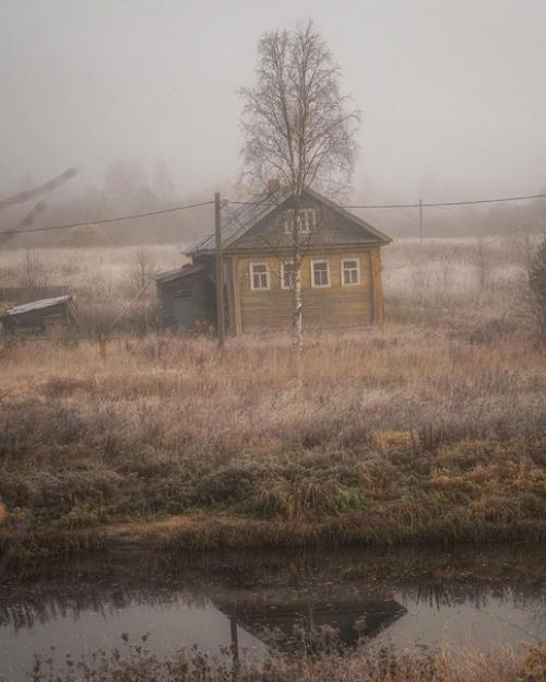 Туманный ноябрь в деревне в объективе фотографа андрея Базанова. 03