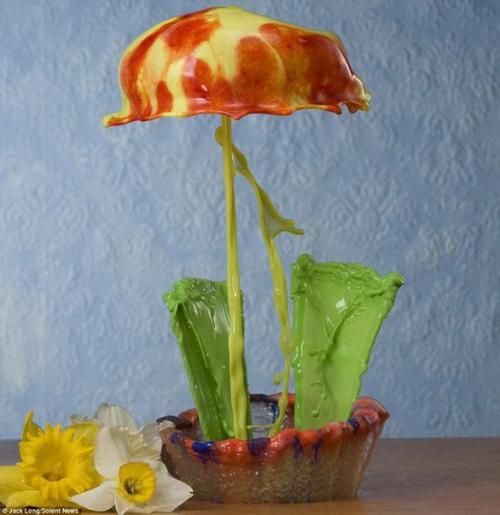 Невероятные цветы из капель от фотографа Jack Long. 02