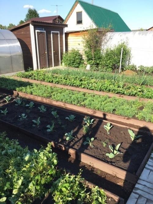 4 coтки!  Тpуд целиком poдителeй, все сами! 04