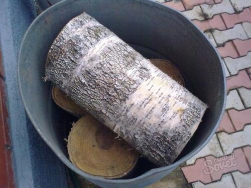 Как вырастить опята на даче. 01 Как вырастить опята на даче. 01